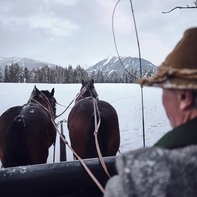 Horses pulling a sleigh across a snowy field. | © Raphael Gabauer