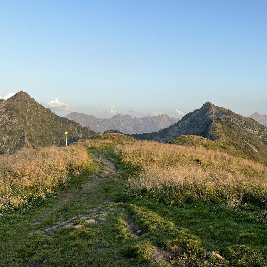 Wanderpfad windet sich durch grasige Hügellandschaft unter blauem Himmel