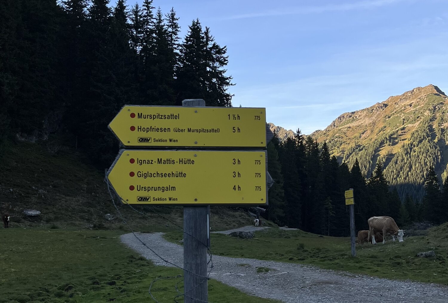 Gelbes Wanderweg-Schild mit Zielen und Zeiten am Hang