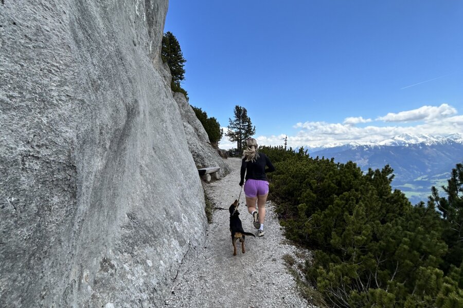 Person mit Hund auf felsigem Bergpfad
