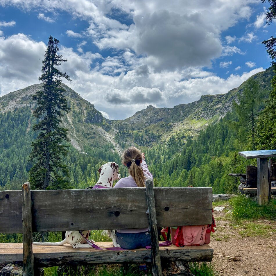 Person and Dalmatian on a bench with mountain view