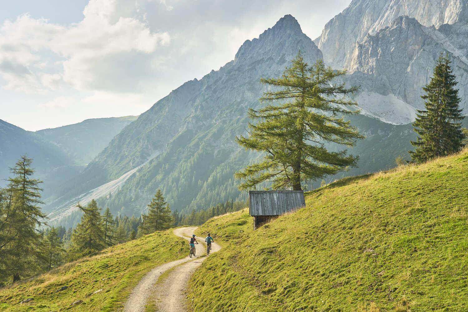 Zwei Radfahrer fahren einen schmalen Weg durch Berglandschaft.
