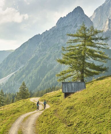 Zwei Radfahrer fahren einen schmalen Weg durch Berglandschaft.