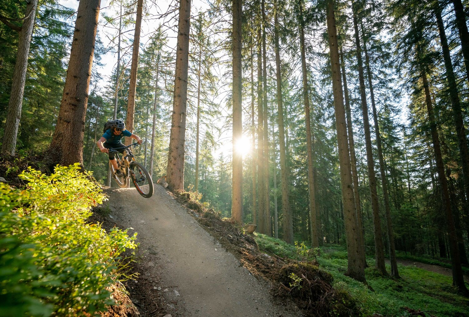 Mountainbike-Fahrer fährt bergab auf Waldweg im Wald