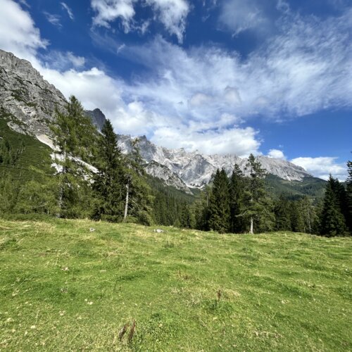 Grüne Wiese mit Kiefern, Felsbergen und blauem Himmel