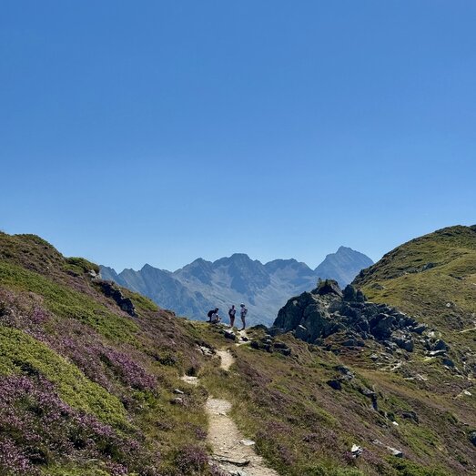 Hikers walk along a rocky mountain path with purple heather