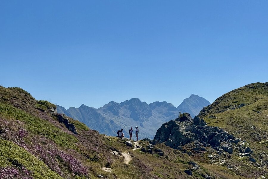 Hikers walk along a rocky mountain path with purple heather