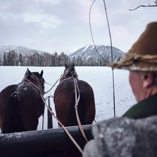 Pferde ziehen Schlitten durch eine verschneite Wiese. | © Raphael Gabauer