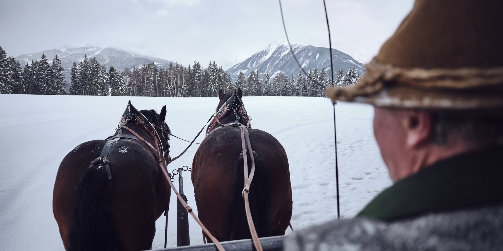 Pferde ziehen Schlitten durch eine verschneite Wiese. | © Raphael Gabauer