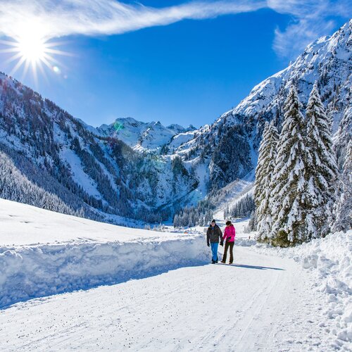 Schneebedecktes Tal mit Kiefern und zwei Wanderern auf einem Weg