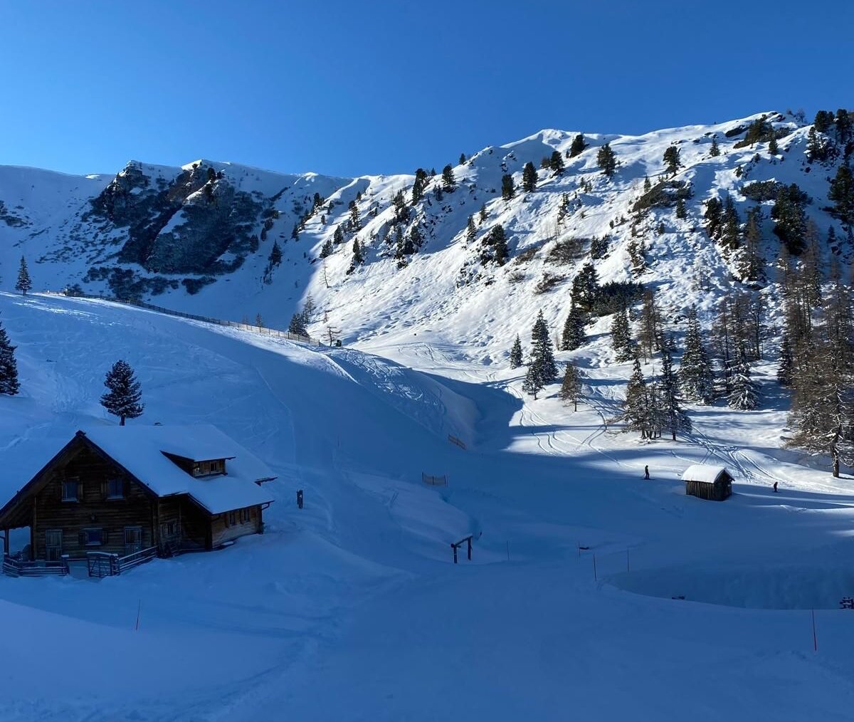 Schneebedeckte Alpenlandschaft mit Holzhütte und Bäumen