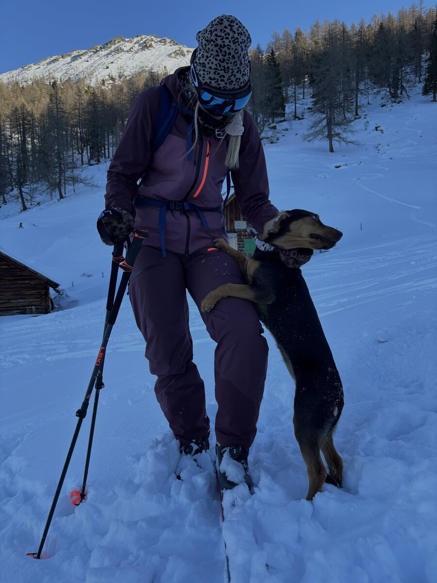 Wandernde Person in lila Winterkleidung mit Hund auf verschneiter Piste
