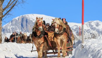 Pferdeschlittenfahrten in Rohrmoos und Ramsau am Dachstein | © Martin Huber