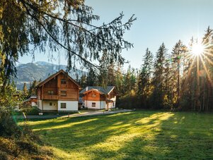 Holzhaus am Waldrand mit sonniger Lichtung und Bergen