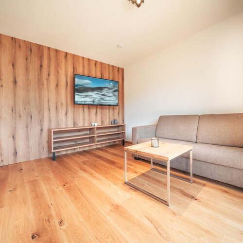 Living room featuring a wooden wall panel and couch
