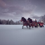 Pferdeschlittenfahrt in der Ramsau