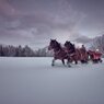 Pferdeschlittenfahrt in der Ramsau