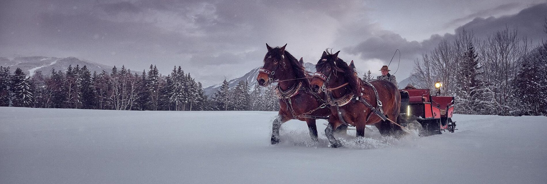 Pferdeschlittenfahrt in der Ramsau