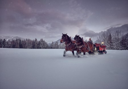 Pferdeschlittenfahrt in der Ramsau