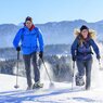 Schneeschuhwanderung