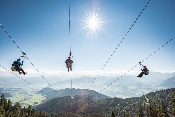 Zipline von hinten