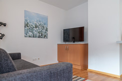 Sofa bed and TV Sofa bed and TV