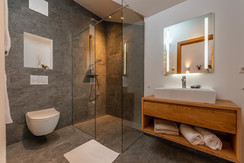 bathroom with shower  bathroom with shower