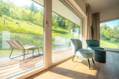 Type ONE quiet location with the view to Schladming Type ONE quiet location with the view to Schladming