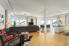 Penthouse spacious living area Penthouse spacious living area