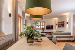 living / kitchen room with access to the terrace  living / kitchen room with access to the terrace