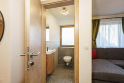 toilet toilet