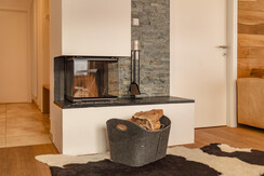 Typ 1H 2.01_Kamin Typ 1H 2.01_Kamin
