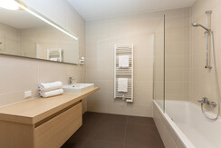 Typ 1H 2.01_Badezimmer Typ 1H 2.01_Badezimmer